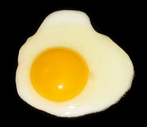 http://en.wikipedia.org/wiki/Egg_(food)
